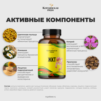 АПИ-КОМПЛЕКС для ЖКТ, 60 капсул